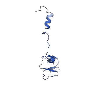 12869_7of4_0_v1-2
Structure of mature human mitochondrial ribosome large subunit in complex with GTPBP6 (PTC conformation 1).