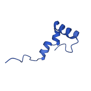 12869_7of4_2_v1-2
Structure of mature human mitochondrial ribosome large subunit in complex with GTPBP6 (PTC conformation 1).