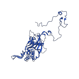 12869_7of4_5_v1-2
Structure of mature human mitochondrial ribosome large subunit in complex with GTPBP6 (PTC conformation 1).