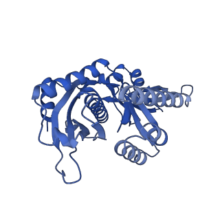 12869_7of4_7_v1-2
Structure of mature human mitochondrial ribosome large subunit in complex with GTPBP6 (PTC conformation 1).