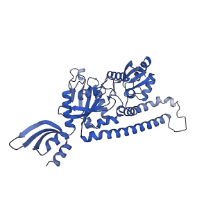 12869_7of4_C_v1-2
Structure of mature human mitochondrial ribosome large subunit in complex with GTPBP6 (PTC conformation 1).