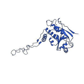12869_7of4_F_v1-2
Structure of mature human mitochondrial ribosome large subunit in complex with GTPBP6 (PTC conformation 1).