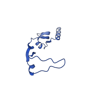 12869_7of4_H_v1-2
Structure of mature human mitochondrial ribosome large subunit in complex with GTPBP6 (PTC conformation 1).