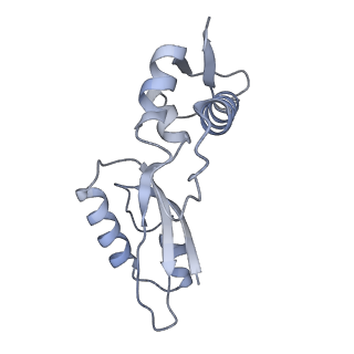 12869_7of4_J_v1-2
Structure of mature human mitochondrial ribosome large subunit in complex with GTPBP6 (PTC conformation 1).