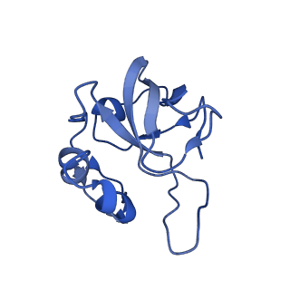 12869_7of4_L_v1-2
Structure of mature human mitochondrial ribosome large subunit in complex with GTPBP6 (PTC conformation 1).
