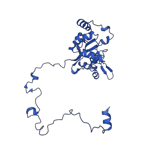 12869_7of4_M_v1-2
Structure of mature human mitochondrial ribosome large subunit in complex with GTPBP6 (PTC conformation 1).