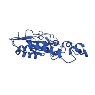 12869_7of4_N_v1-2
Structure of mature human mitochondrial ribosome large subunit in complex with GTPBP6 (PTC conformation 1).