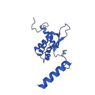 12869_7of4_O_v1-2
Structure of mature human mitochondrial ribosome large subunit in complex with GTPBP6 (PTC conformation 1).