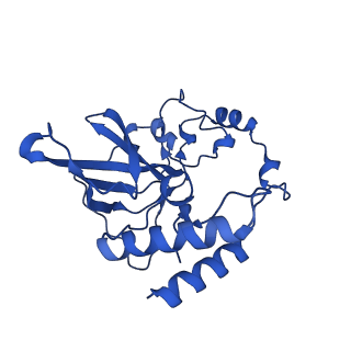 12869_7of4_Q_v1-2
Structure of mature human mitochondrial ribosome large subunit in complex with GTPBP6 (PTC conformation 1).