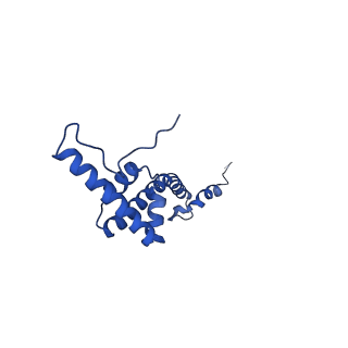 12869_7of4_R_v1-2
Structure of mature human mitochondrial ribosome large subunit in complex with GTPBP6 (PTC conformation 1).