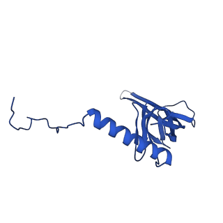 12869_7of4_S_v1-2
Structure of mature human mitochondrial ribosome large subunit in complex with GTPBP6 (PTC conformation 1).