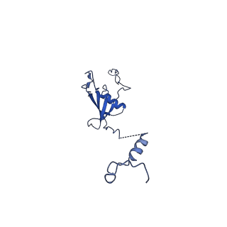 12869_7of4_U_v1-2
Structure of mature human mitochondrial ribosome large subunit in complex with GTPBP6 (PTC conformation 1).