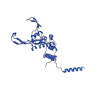 12869_7of4_X_v1-2
Structure of mature human mitochondrial ribosome large subunit in complex with GTPBP6 (PTC conformation 1).