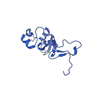 12869_7of4_Z_v1-2
Structure of mature human mitochondrial ribosome large subunit in complex with GTPBP6 (PTC conformation 1).