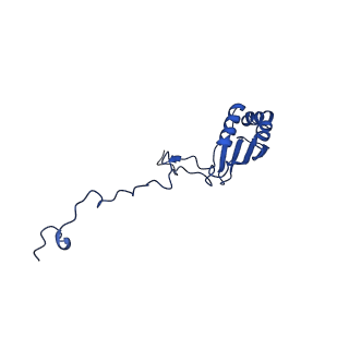 12869_7of4_b_v1-2
Structure of mature human mitochondrial ribosome large subunit in complex with GTPBP6 (PTC conformation 1).