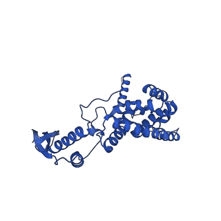 12869_7of4_c_v1-2
Structure of mature human mitochondrial ribosome large subunit in complex with GTPBP6 (PTC conformation 1).