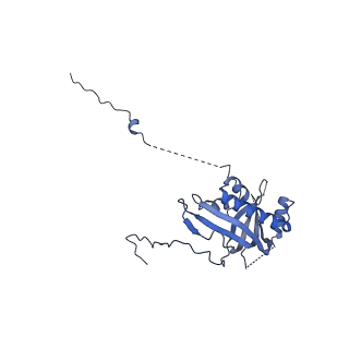 12869_7of4_d_v1-2
Structure of mature human mitochondrial ribosome large subunit in complex with GTPBP6 (PTC conformation 1).
