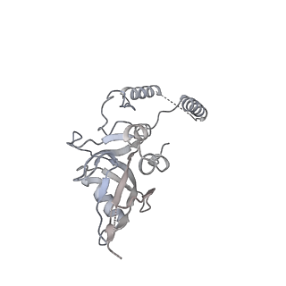 12869_7of4_e_v1-2
Structure of mature human mitochondrial ribosome large subunit in complex with GTPBP6 (PTC conformation 1).