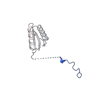 12869_7of4_f_v1-2
Structure of mature human mitochondrial ribosome large subunit in complex with GTPBP6 (PTC conformation 1).