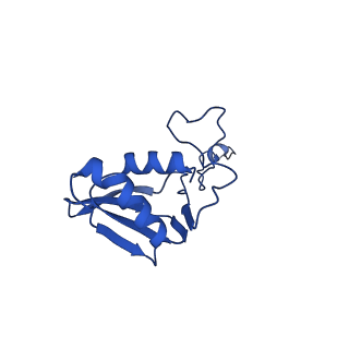 12869_7of4_g_v1-2
Structure of mature human mitochondrial ribosome large subunit in complex with GTPBP6 (PTC conformation 1).