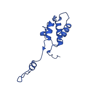 12869_7of4_h_v1-2
Structure of mature human mitochondrial ribosome large subunit in complex with GTPBP6 (PTC conformation 1).