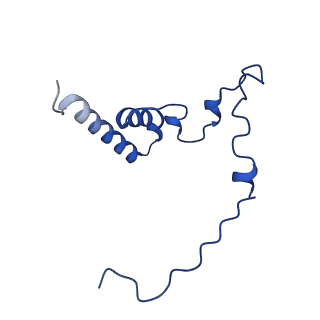 12869_7of4_i_v1-2
Structure of mature human mitochondrial ribosome large subunit in complex with GTPBP6 (PTC conformation 1).