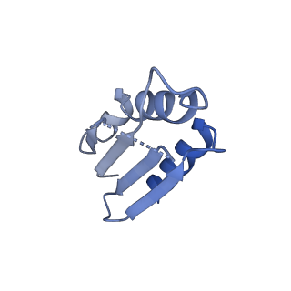 12869_7of4_k_v1-2
Structure of mature human mitochondrial ribosome large subunit in complex with GTPBP6 (PTC conformation 1).