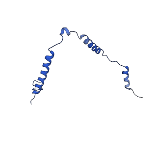 12869_7of4_o_v1-2
Structure of mature human mitochondrial ribosome large subunit in complex with GTPBP6 (PTC conformation 1).