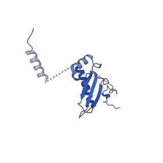 12869_7of4_p_v1-2
Structure of mature human mitochondrial ribosome large subunit in complex with GTPBP6 (PTC conformation 1).