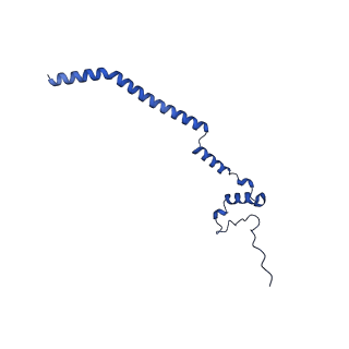 12869_7of4_q_v1-2
Structure of mature human mitochondrial ribosome large subunit in complex with GTPBP6 (PTC conformation 1).