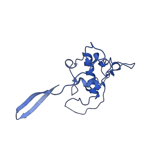 12869_7of4_r_v1-2
Structure of mature human mitochondrial ribosome large subunit in complex with GTPBP6 (PTC conformation 1).