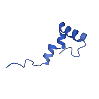 12870_7of5_2_v1-2
Structure of a human mitochondrial ribosome large subunit assembly intermediate in complex with MTERF4-NSUN4 and GTPBP5 (dataset2).