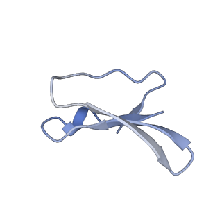 12870_7of5_4_v1-2
Structure of a human mitochondrial ribosome large subunit assembly intermediate in complex with MTERF4-NSUN4 and GTPBP5 (dataset2).