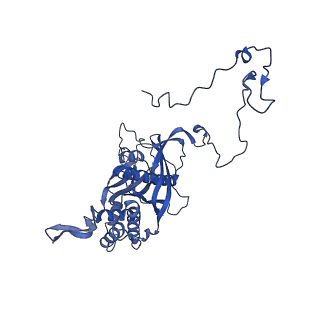 12870_7of5_5_v1-2
Structure of a human mitochondrial ribosome large subunit assembly intermediate in complex with MTERF4-NSUN4 and GTPBP5 (dataset2).
