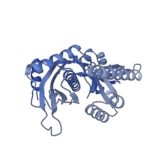12870_7of5_7_v1-2
Structure of a human mitochondrial ribosome large subunit assembly intermediate in complex with MTERF4-NSUN4 and GTPBP5 (dataset2).