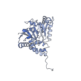 12870_7of5_C_v1-2
Structure of a human mitochondrial ribosome large subunit assembly intermediate in complex with MTERF4-NSUN4 and GTPBP5 (dataset2).