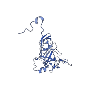 12870_7of5_D_v1-2
Structure of a human mitochondrial ribosome large subunit assembly intermediate in complex with MTERF4-NSUN4 and GTPBP5 (dataset2).