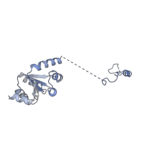 12870_7of5_I_v1-2
Structure of a human mitochondrial ribosome large subunit assembly intermediate in complex with MTERF4-NSUN4 and GTPBP5 (dataset2).