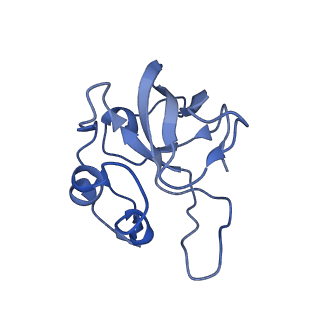 12870_7of5_L_v1-2
Structure of a human mitochondrial ribosome large subunit assembly intermediate in complex with MTERF4-NSUN4 and GTPBP5 (dataset2).