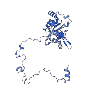 12870_7of5_M_v1-2
Structure of a human mitochondrial ribosome large subunit assembly intermediate in complex with MTERF4-NSUN4 and GTPBP5 (dataset2).
