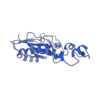 12870_7of5_N_v1-2
Structure of a human mitochondrial ribosome large subunit assembly intermediate in complex with MTERF4-NSUN4 and GTPBP5 (dataset2).