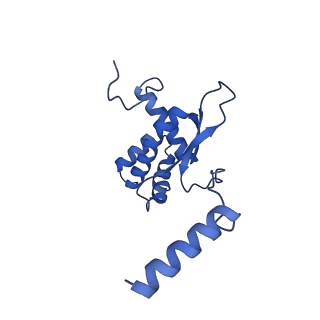 12870_7of5_O_v1-2
Structure of a human mitochondrial ribosome large subunit assembly intermediate in complex with MTERF4-NSUN4 and GTPBP5 (dataset2).