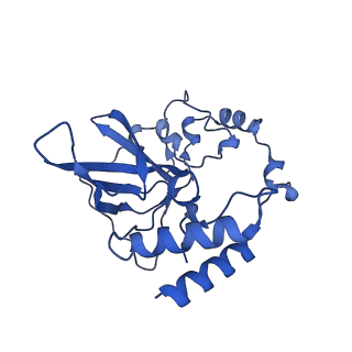 12870_7of5_Q_v1-2
Structure of a human mitochondrial ribosome large subunit assembly intermediate in complex with MTERF4-NSUN4 and GTPBP5 (dataset2).