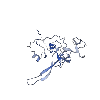 12870_7of5_V_v1-2
Structure of a human mitochondrial ribosome large subunit assembly intermediate in complex with MTERF4-NSUN4 and GTPBP5 (dataset2).