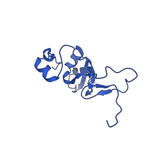 12870_7of5_Z_v1-2
Structure of a human mitochondrial ribosome large subunit assembly intermediate in complex with MTERF4-NSUN4 and GTPBP5 (dataset2).