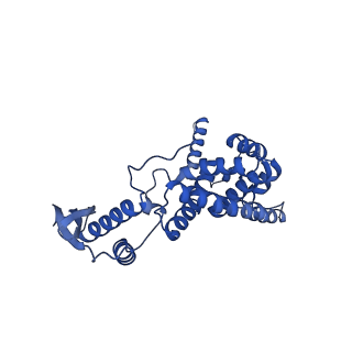 12870_7of5_c_v1-2
Structure of a human mitochondrial ribosome large subunit assembly intermediate in complex with MTERF4-NSUN4 and GTPBP5 (dataset2).