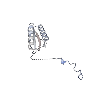 12870_7of5_f_v1-2
Structure of a human mitochondrial ribosome large subunit assembly intermediate in complex with MTERF4-NSUN4 and GTPBP5 (dataset2).