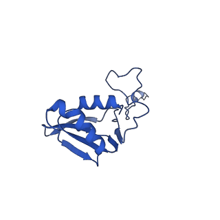 12870_7of5_g_v1-2
Structure of a human mitochondrial ribosome large subunit assembly intermediate in complex with MTERF4-NSUN4 and GTPBP5 (dataset2).