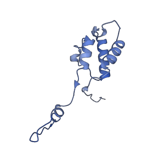 12870_7of5_h_v1-2
Structure of a human mitochondrial ribosome large subunit assembly intermediate in complex with MTERF4-NSUN4 and GTPBP5 (dataset2).