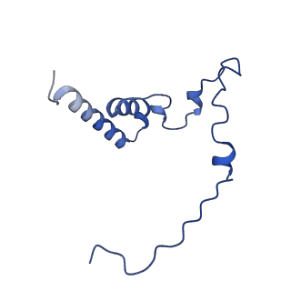 12870_7of5_i_v1-2
Structure of a human mitochondrial ribosome large subunit assembly intermediate in complex with MTERF4-NSUN4 and GTPBP5 (dataset2).